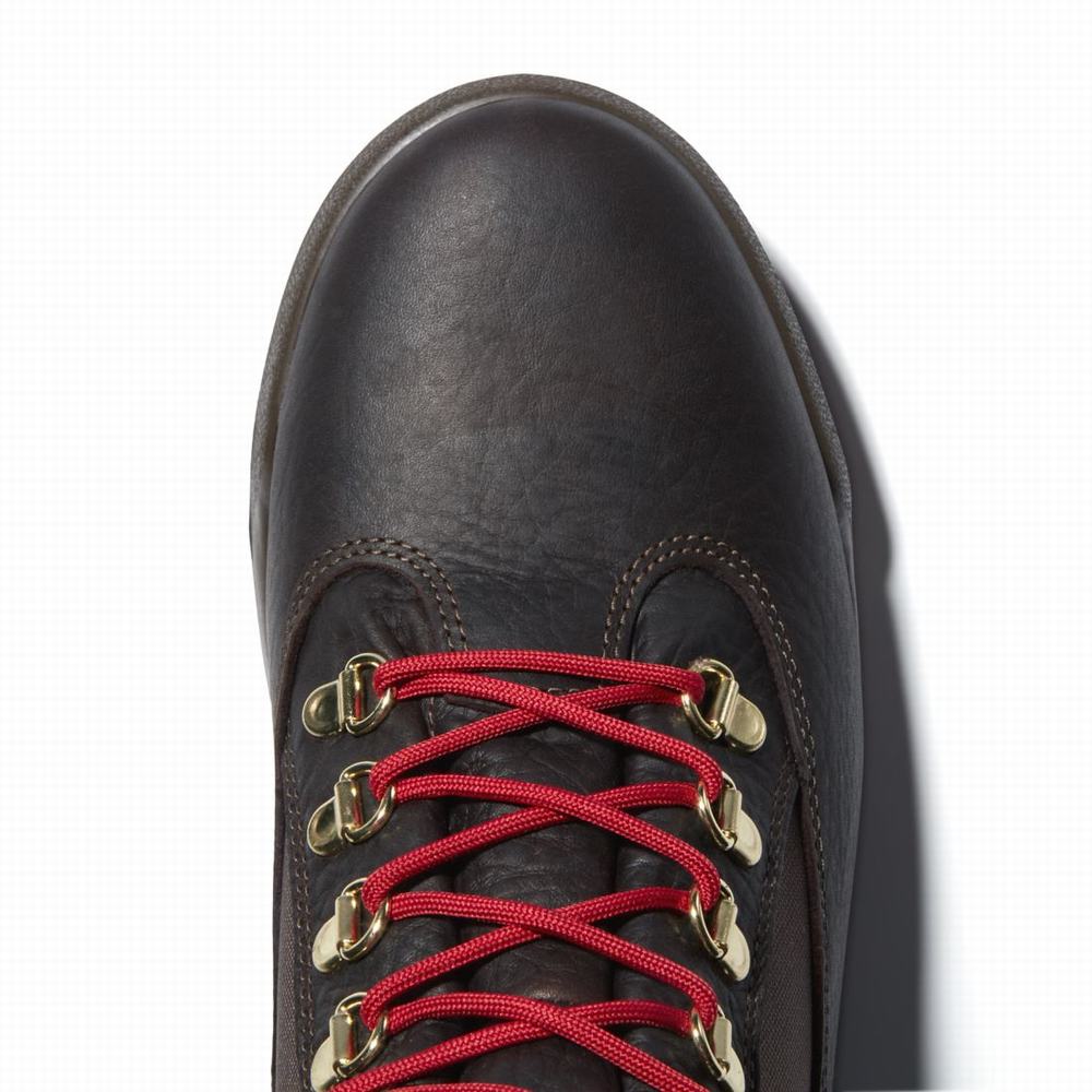 Pánské Zimní Boty Timberland 6-Inch Waterproof Field Tmavě Hnědé | TI61253-276