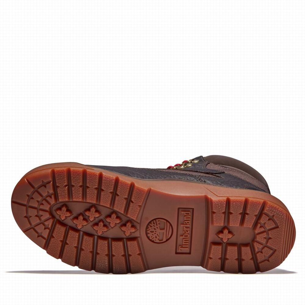 Pánské Zimní Boty Timberland 6-Inch Waterproof Field Tmavě Hnědé | TI61253-276
