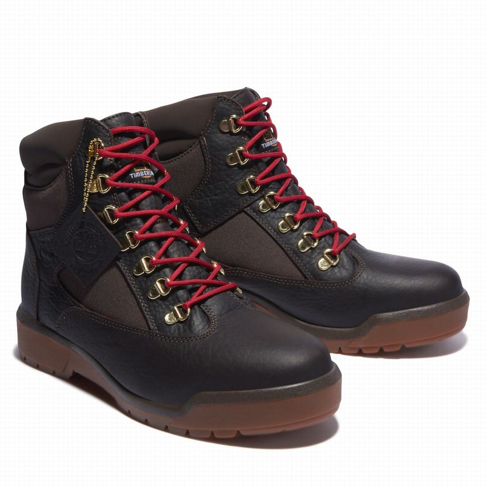 Pánské Zimní Boty Timberland 6-Inch Waterproof Field Tmavě Hnědé | TI61253-276
