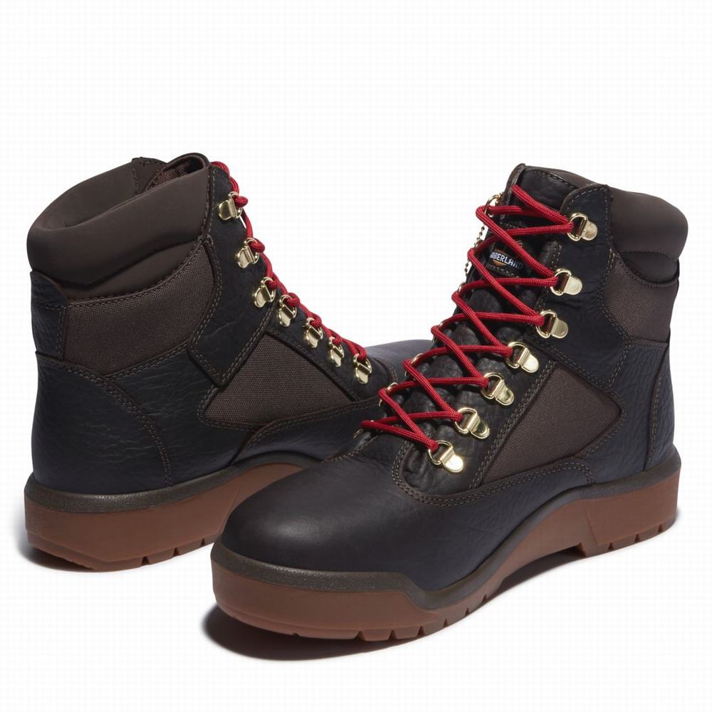 Pánské Zimní Boty Timberland 6-Inch Waterproof Field Tmavě Hnědé | TI61253-276