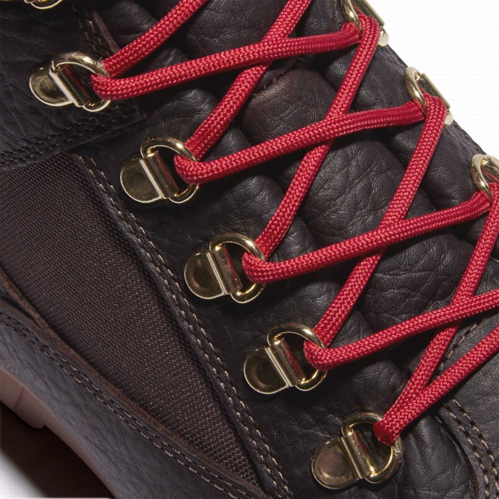 Pánské Zimní Boty Timberland 6-Inch Waterproof Field Tmavě Hnědé | TI61253-276