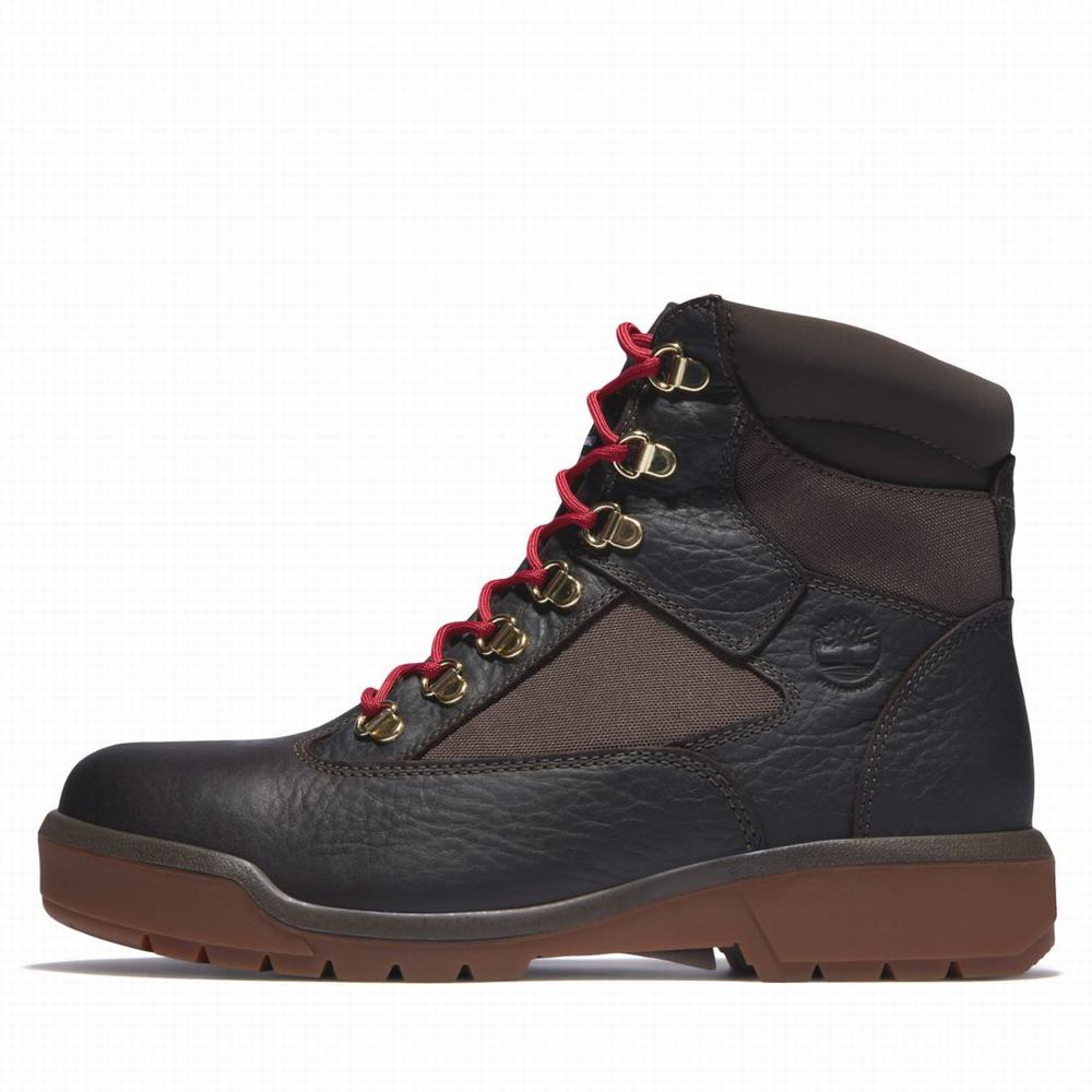 Pánské Zimní Boty Timberland 6-Inch Waterproof Field Tmavě Hnědé | TI61253-276