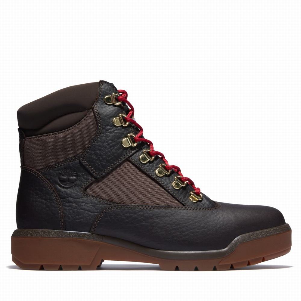 Pánské Zimní Boty Timberland 6-Inch Waterproof Field Tmavě Hnědé | TI61253-276