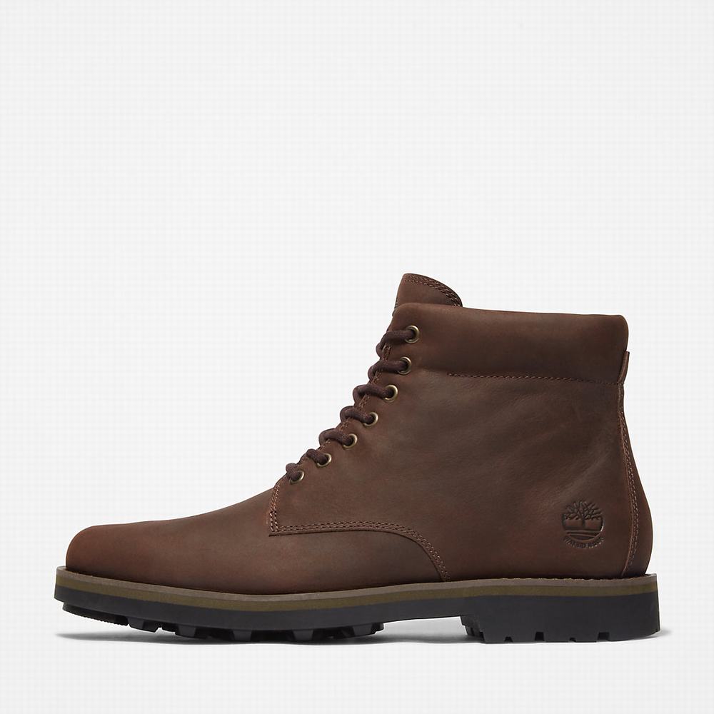 Pánské Zimní Boty Timberland Alden Brook Side-Zip Hnědé | TI47386-230