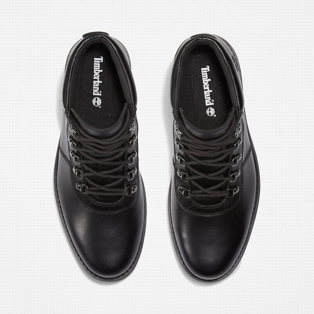 Pánské Zimní Boty Timberland Alden Brook Černé | TI50473-874