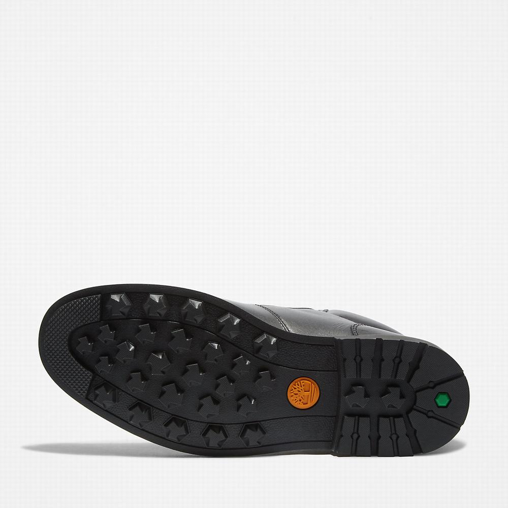 Pánské Zimní Boty Timberland Alden Brook Černé | TI50473-874