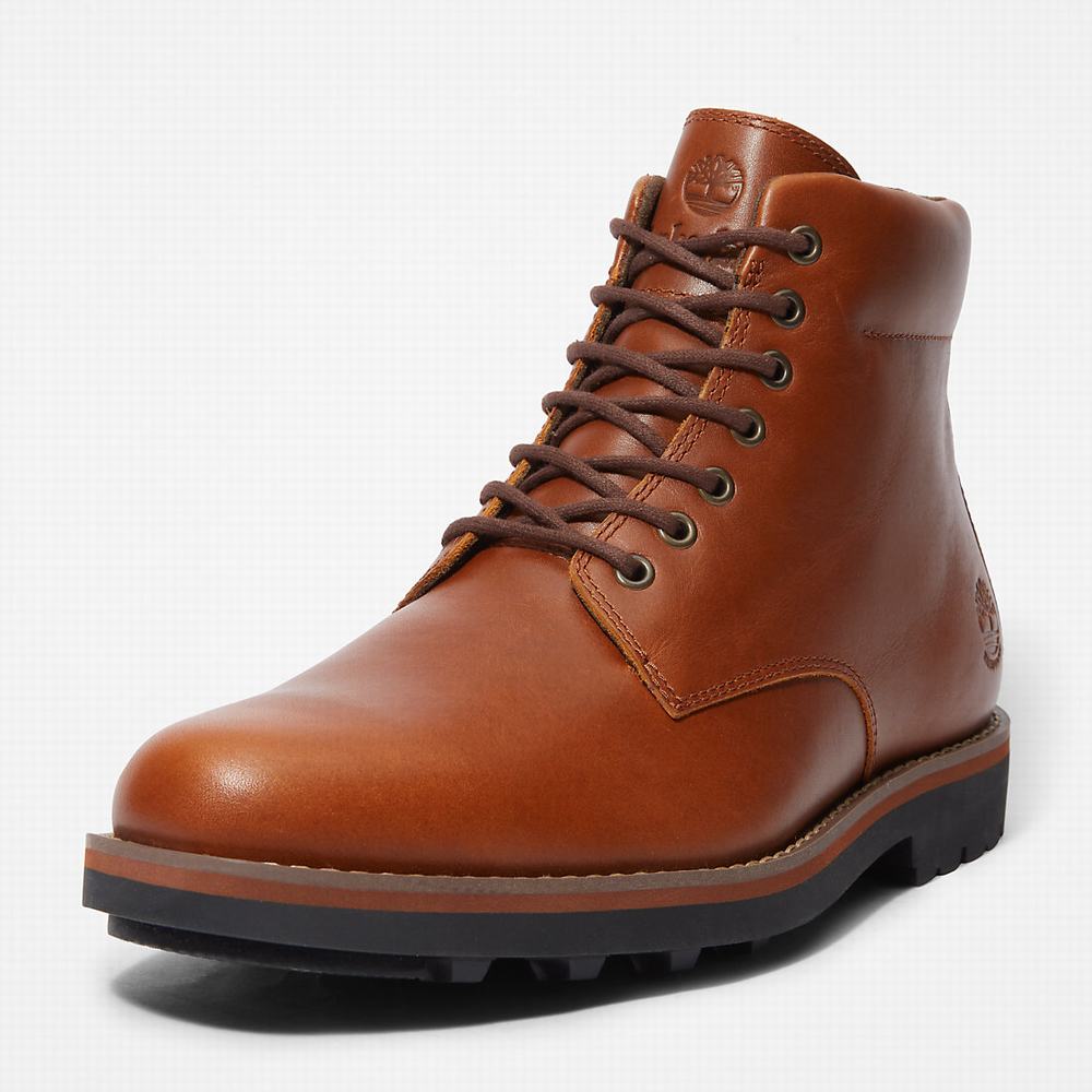 Pánské Zimní Boty Timberland Alden Brook Side-Zip Tmavě Hnědé | TI70361-092