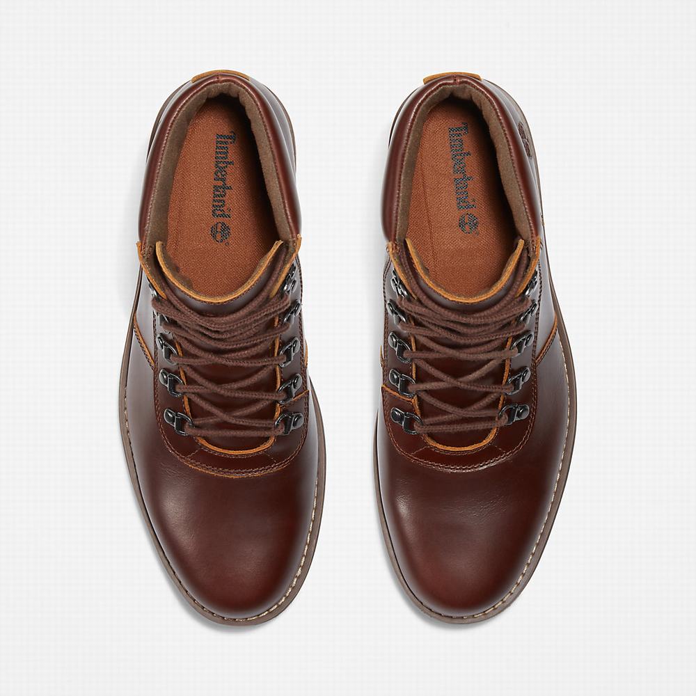 Pánské Zimní Boty Timberland Alden Brook Hnědé | TI96538-562