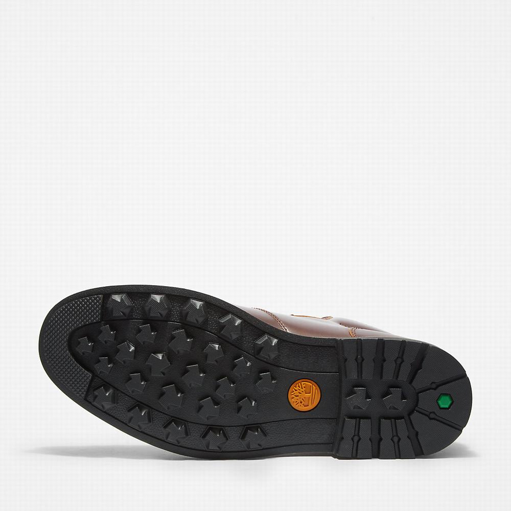 Pánské Zimní Boty Timberland Alden Brook Hnědé | TI96538-562