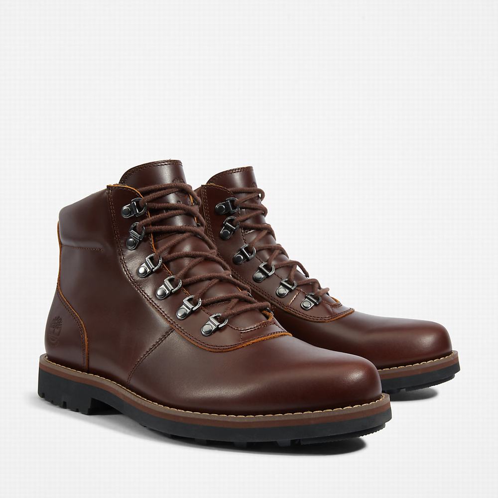 Pánské Zimní Boty Timberland Alden Brook Hnědé | TI96538-562
