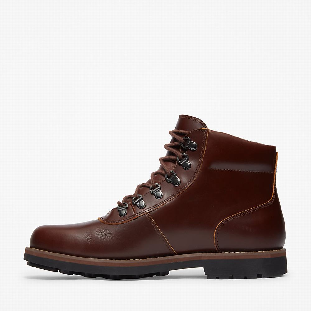Pánské Zimní Boty Timberland Alden Brook Hnědé | TI96538-562