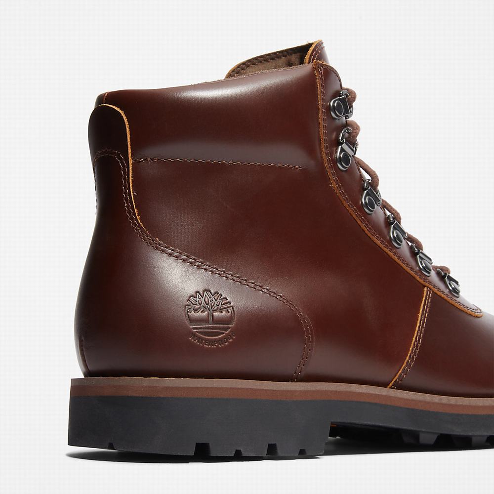 Pánské Zimní Boty Timberland Alden Brook Hnědé | TI96538-562