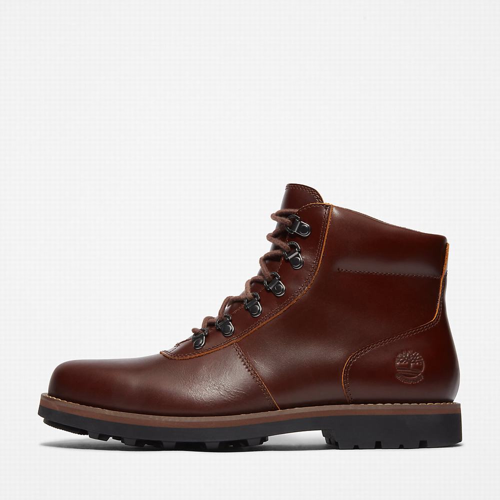 Pánské Zimní Boty Timberland Alden Brook Hnědé | TI96538-562