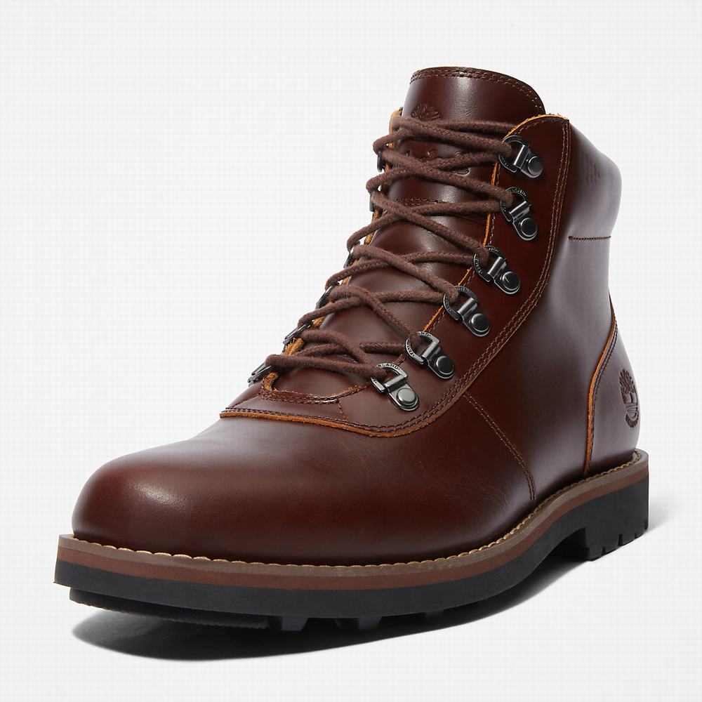 Pánské Zimní Boty Timberland Alden Brook Hnědé | TI96538-562