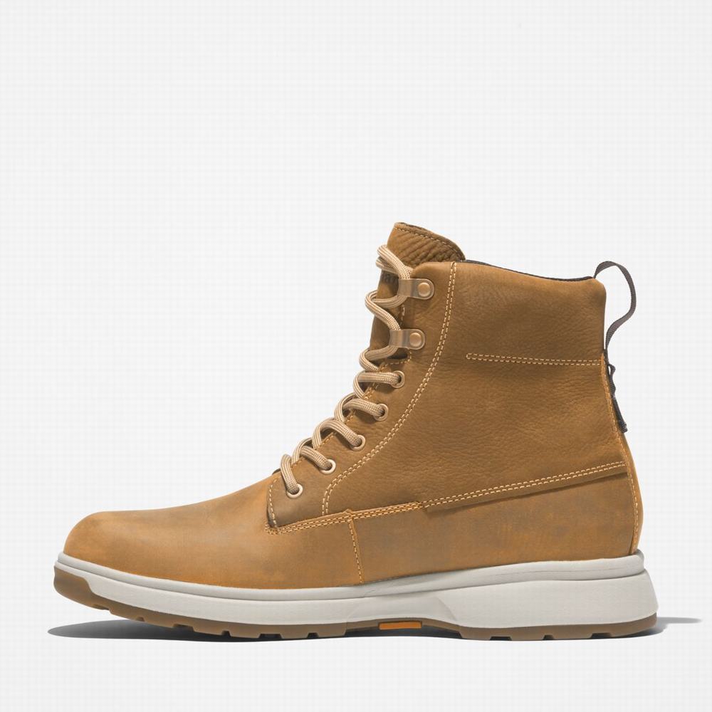 Pánské Zimní Boty Timberland Atwells Ave Waterproof Hnědé | TI84930-316