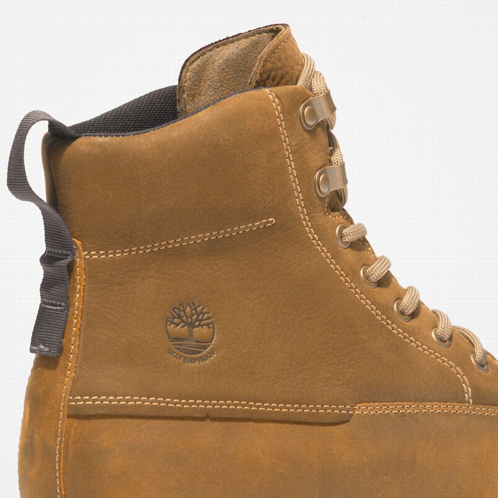 Pánské Zimní Boty Timberland Atwells Ave Waterproof Hnědé | TI84930-316