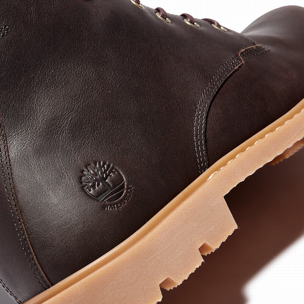 Pánské Zimní Boty Timberland Belanger EK+ 6 Inch Tmavě Hnědé | TI02498-604
