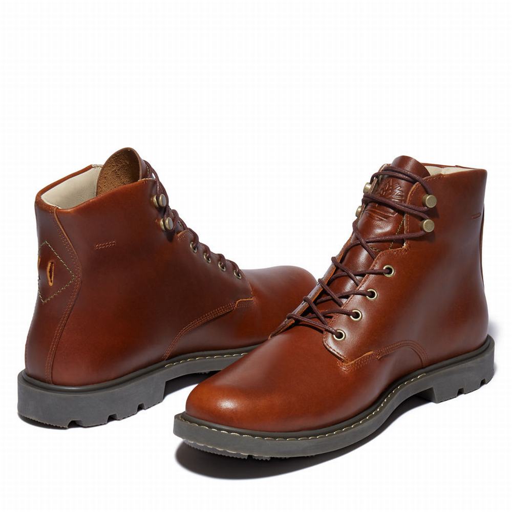 Pánské Zimní Boty Timberland Belanger EK+ 6 Inch Hnědé | TI87301-450