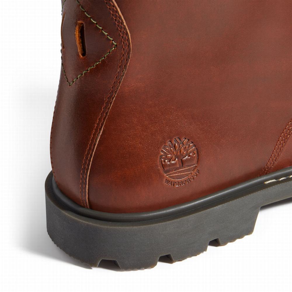 Pánské Zimní Boty Timberland Belanger EK+ 6 Inch Hnědé | TI87301-450