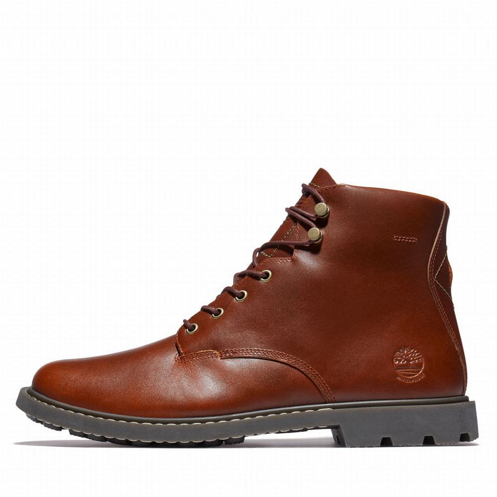 Pánské Zimní Boty Timberland Belanger EK+ 6 Inch Hnědé | TI87301-450