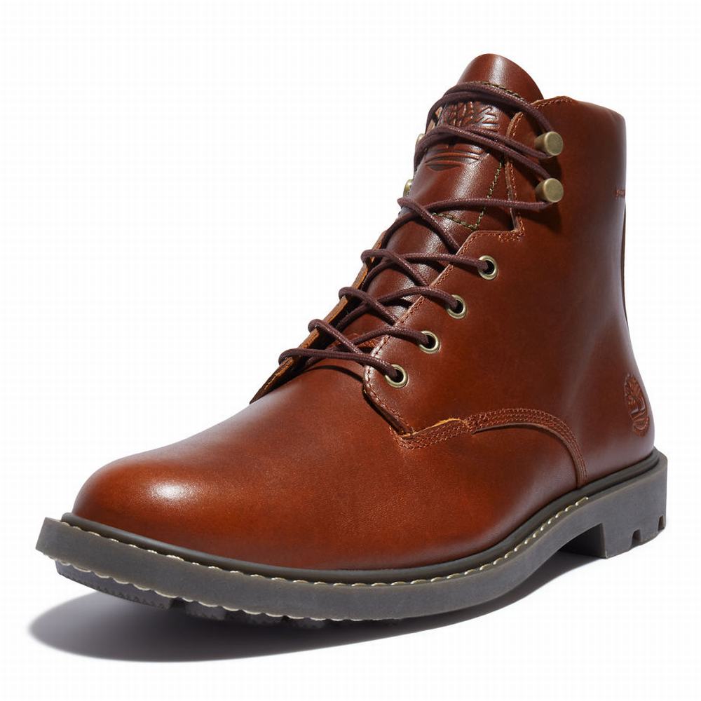 Pánské Zimní Boty Timberland Belanger EK+ 6 Inch Hnědé | TI87301-450