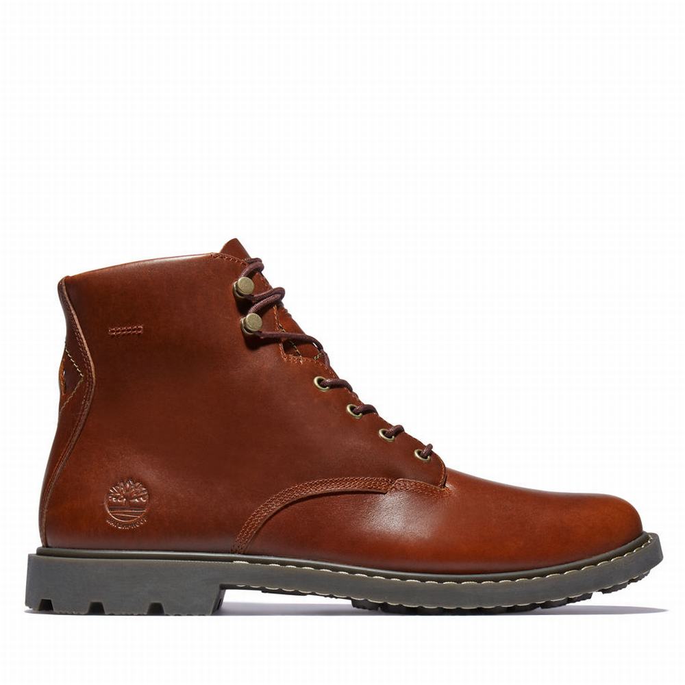 Pánské Zimní Boty Timberland Belanger EK+ 6 Inch Hnědé | TI87301-450