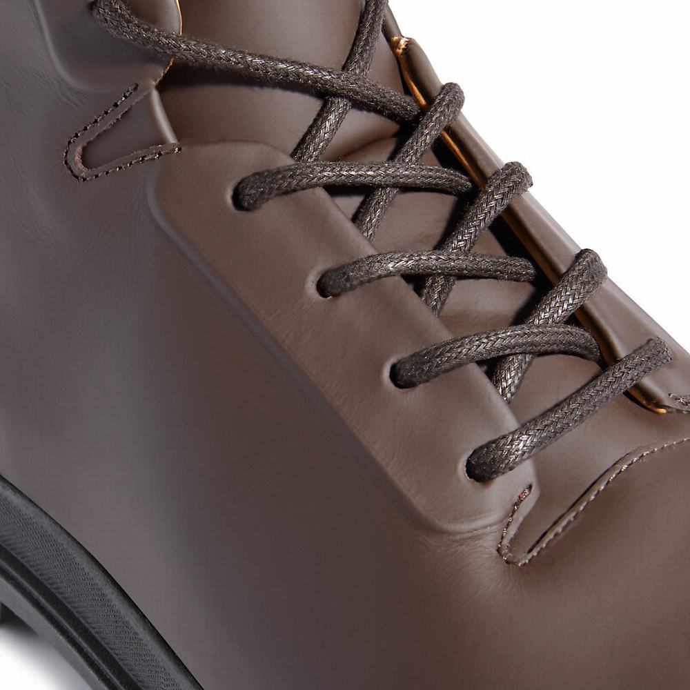 Pánské Zimní Boty Timberland CC Boulevard Hnědé | TI35719-286