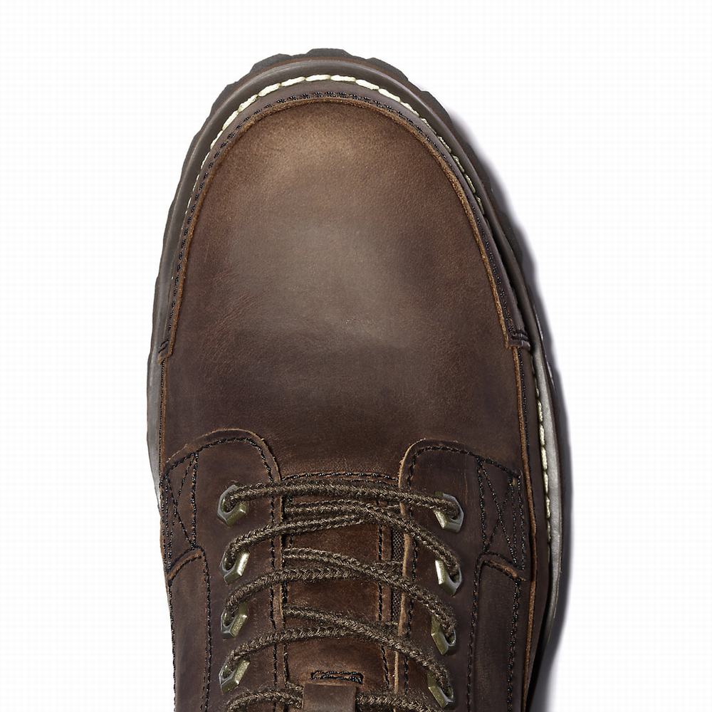 Pánské Zimní Boty Timberland Earthkeepers 6 Inch Tmavě Hnědé | TI67423-501