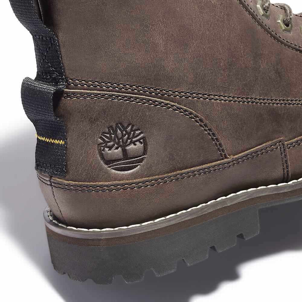 Pánské Zimní Boty Timberland Earthkeepers 6 Inch Tmavě Hnědé | TI67423-501