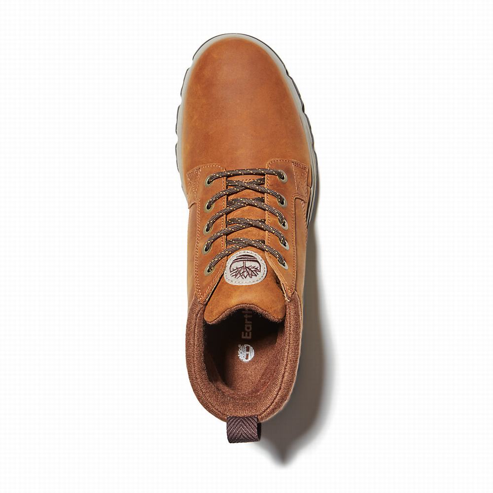 Pánské Zimní Boty Timberland GreenStride™ TBL® Originals Ultra EK+ Hnědé | TI92781-096