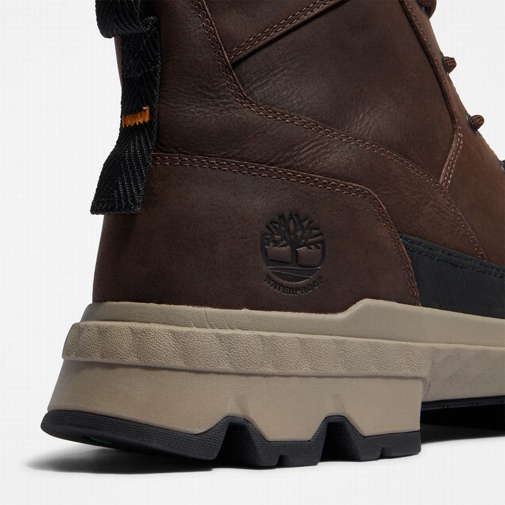 Pánské Zimní Boty Timberland GreenStride™ TBL® Originals Ultra Waterproof Tmavě Hnědé | TI95018-830