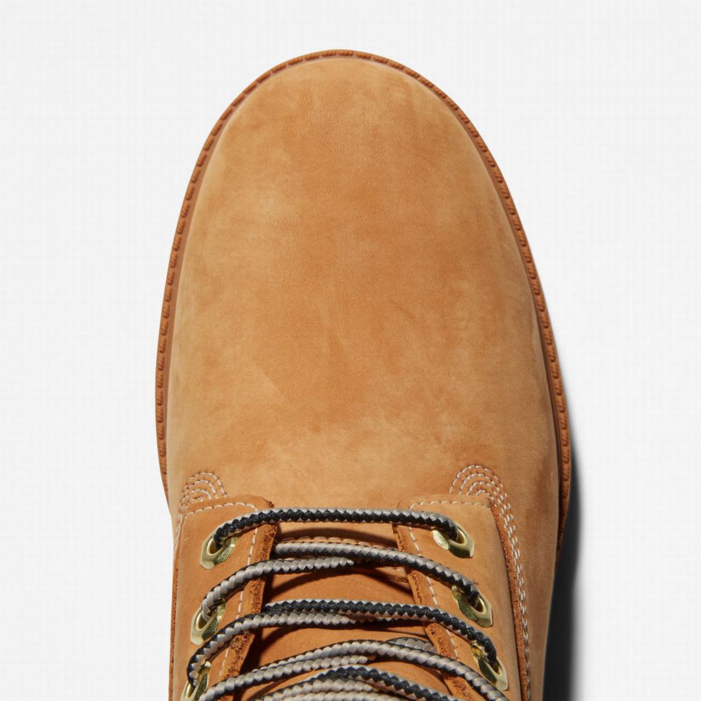 Pánské Zimní Boty Timberland Heritage 6 Inch Winter Hnědé | TI57096-160