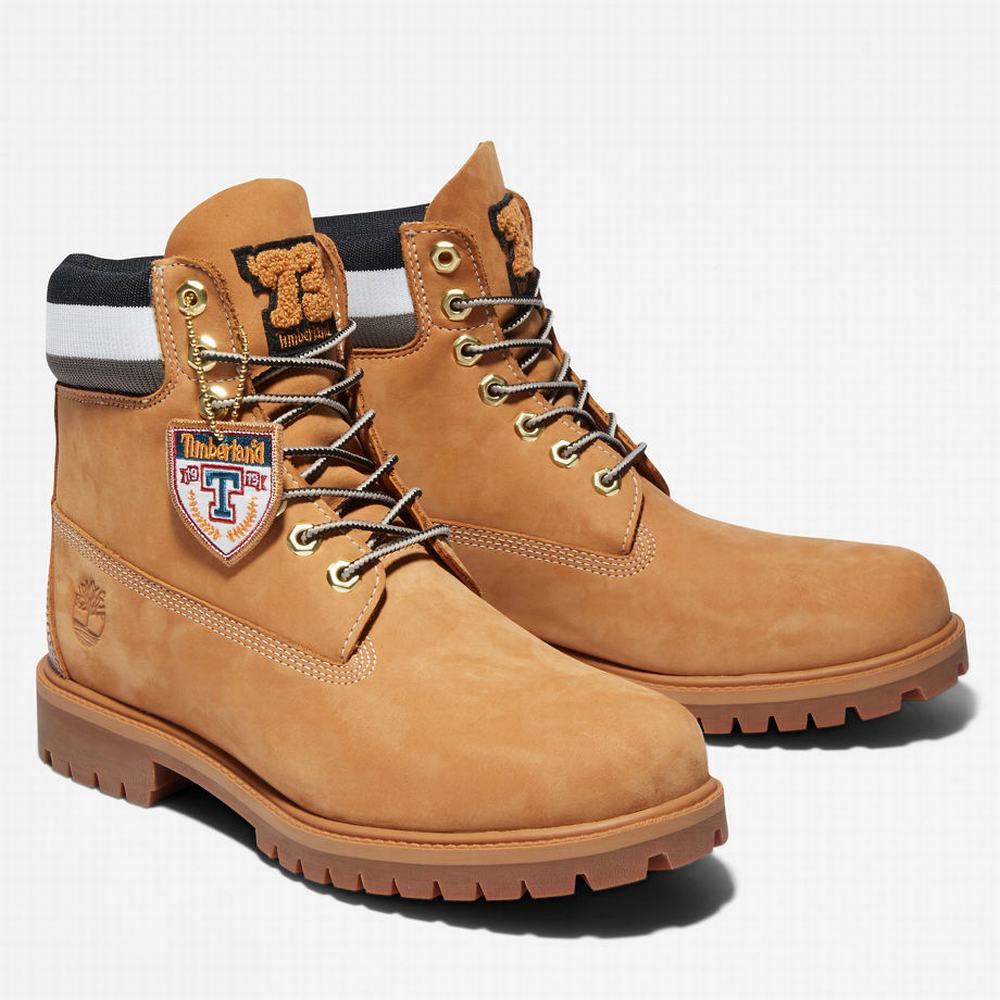 Pánské Zimní Boty Timberland Heritage 6 Inch Winter Hnědé | TI57096-160
