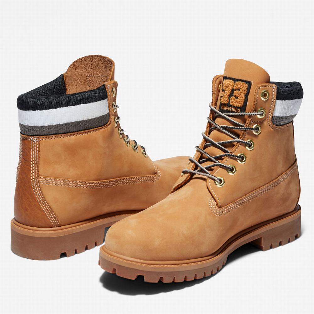 Pánské Zimní Boty Timberland Heritage 6 Inch Winter Hnědé | TI57096-160