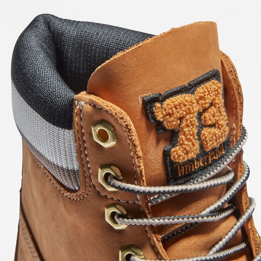 Pánské Zimní Boty Timberland Heritage 6 Inch Winter Hnědé | TI57096-160