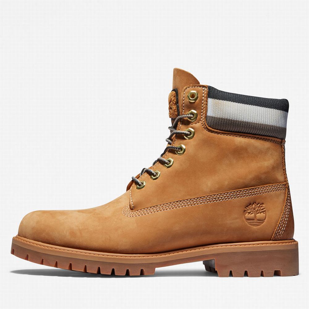 Pánské Zimní Boty Timberland Heritage 6 Inch Winter Hnědé | TI57096-160