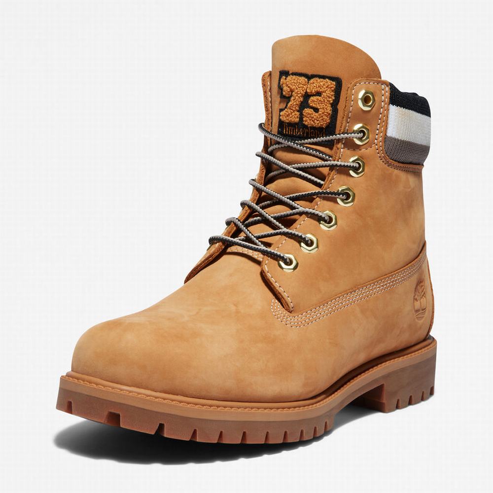 Pánské Zimní Boty Timberland Heritage 6 Inch Winter Hnědé | TI57096-160