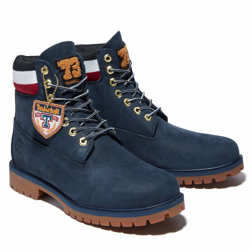 Pánské Zimní Boty Timberland Heritage 6 Inch Winter Blankyt | TI74312-219