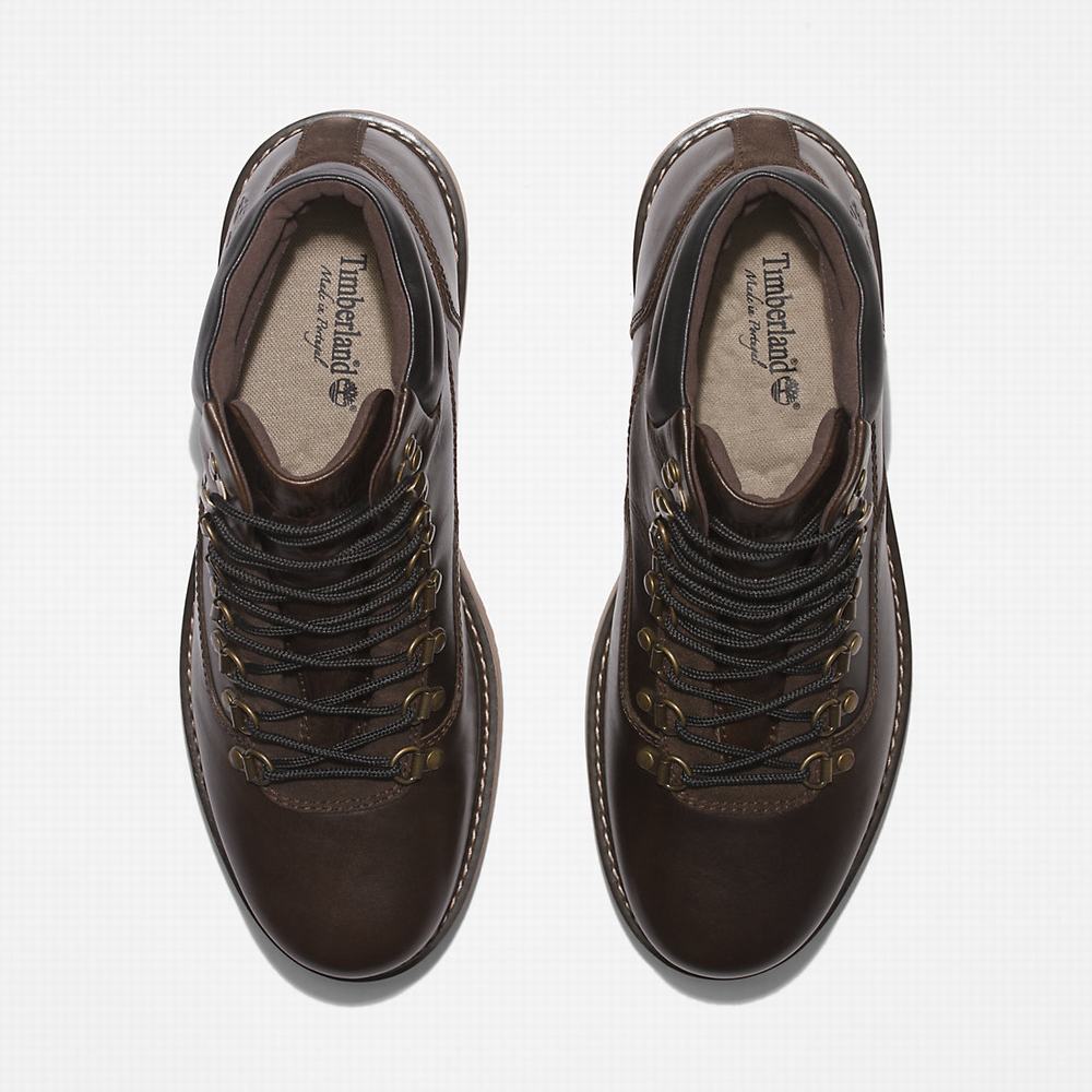 Pánské Zimní Boty Timberland Newmarket II Hiker Tmavě Hnědé | TI02956-902