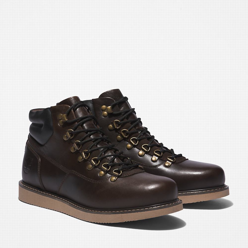 Pánské Zimní Boty Timberland Newmarket II Hiker Tmavě Hnědé | TI02956-902
