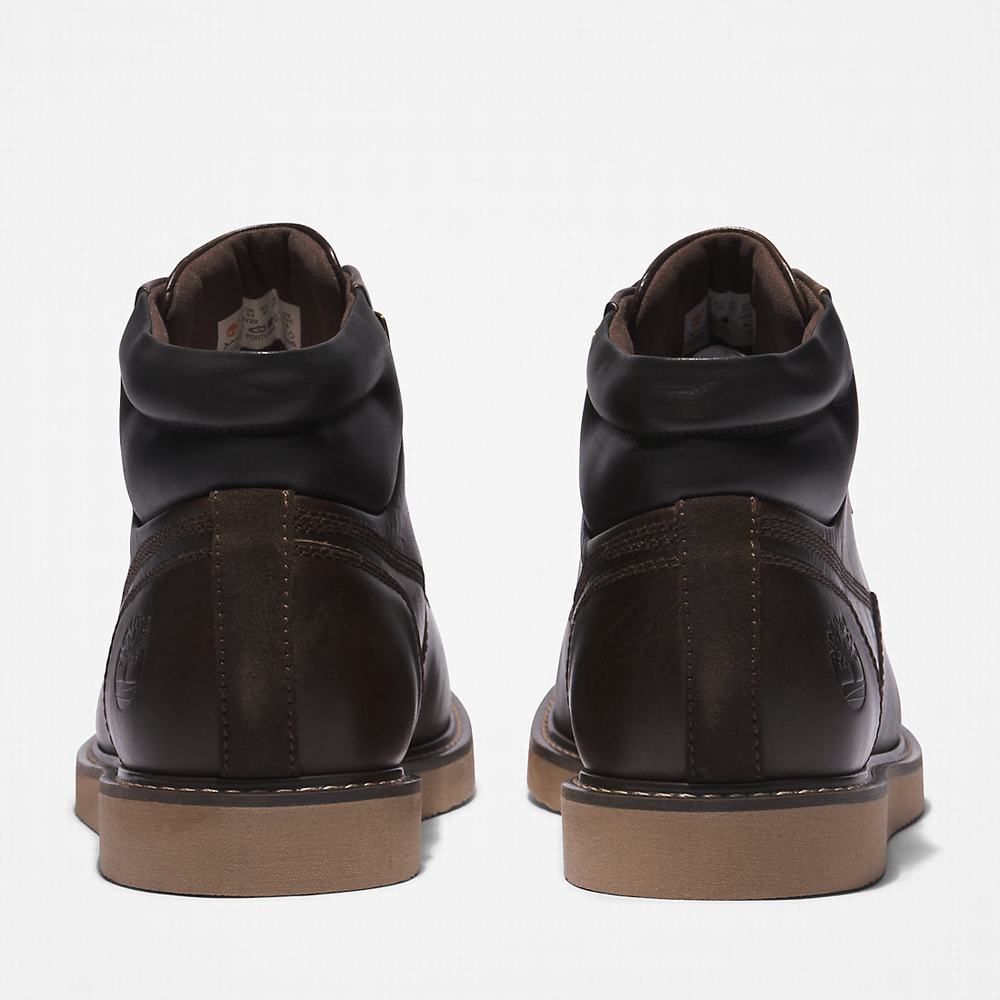 Pánské Zimní Boty Timberland Newmarket II Hiker Tmavě Hnědé | TI02956-902