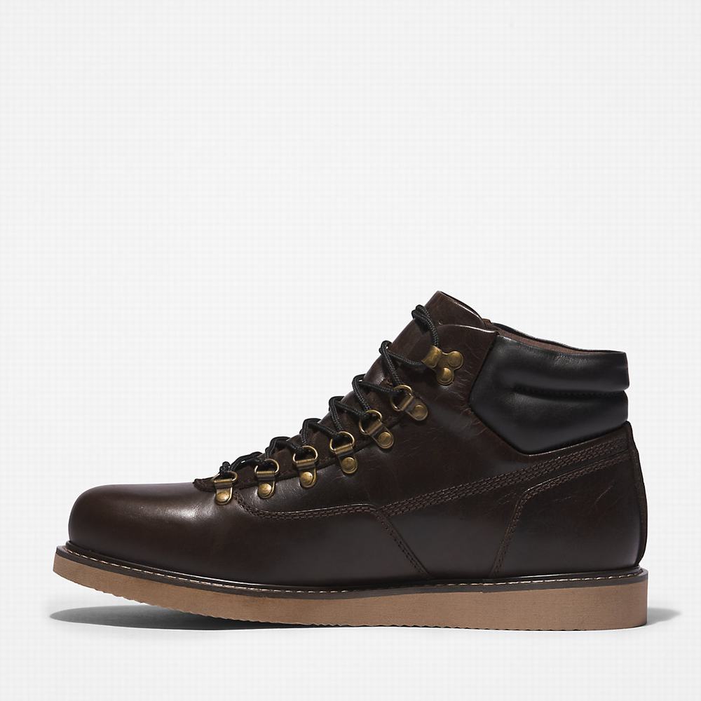 Pánské Zimní Boty Timberland Newmarket II Hiker Tmavě Hnědé | TI02956-902