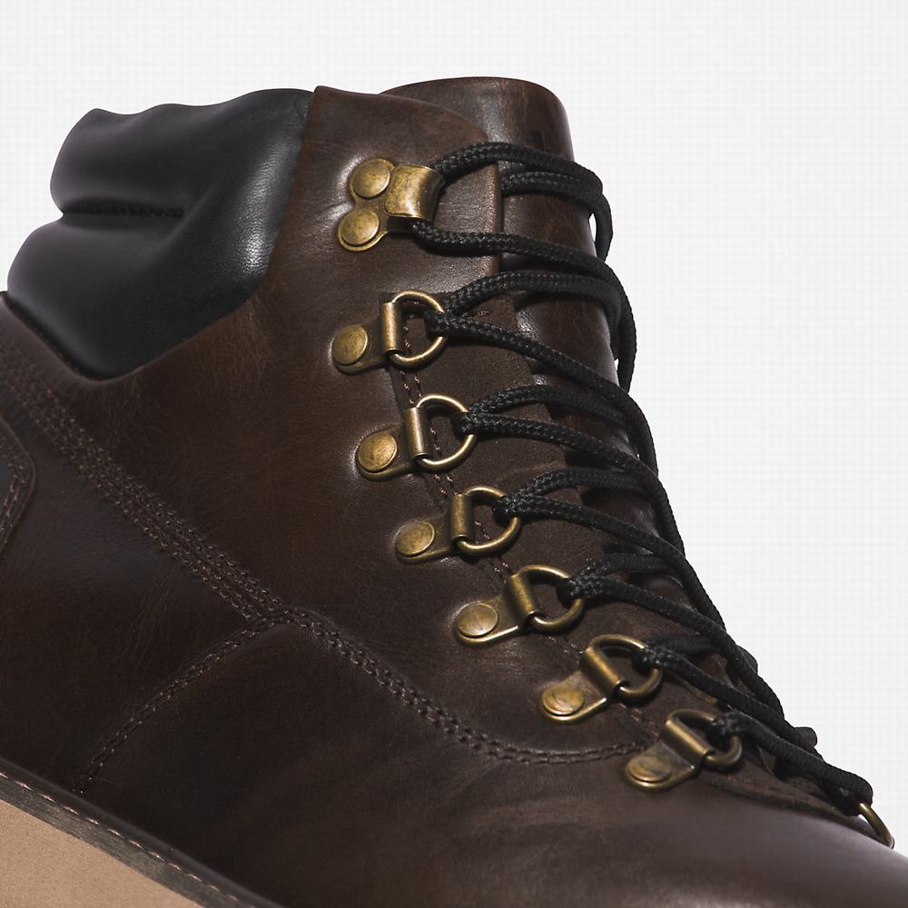 Pánské Zimní Boty Timberland Newmarket II Hiker Tmavě Hnědé | TI02956-902