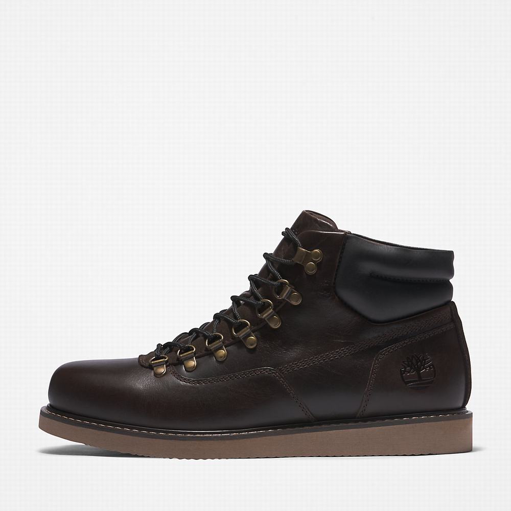 Pánské Zimní Boty Timberland Newmarket II Hiker Tmavě Hnědé | TI02956-902