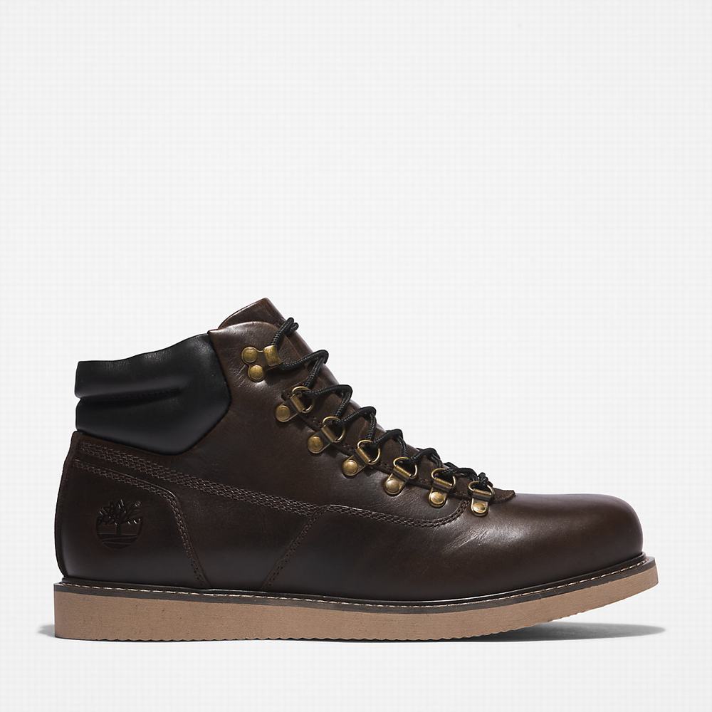 Pánské Zimní Boty Timberland Newmarket II Hiker Tmavě Hnědé | TI02956-902
