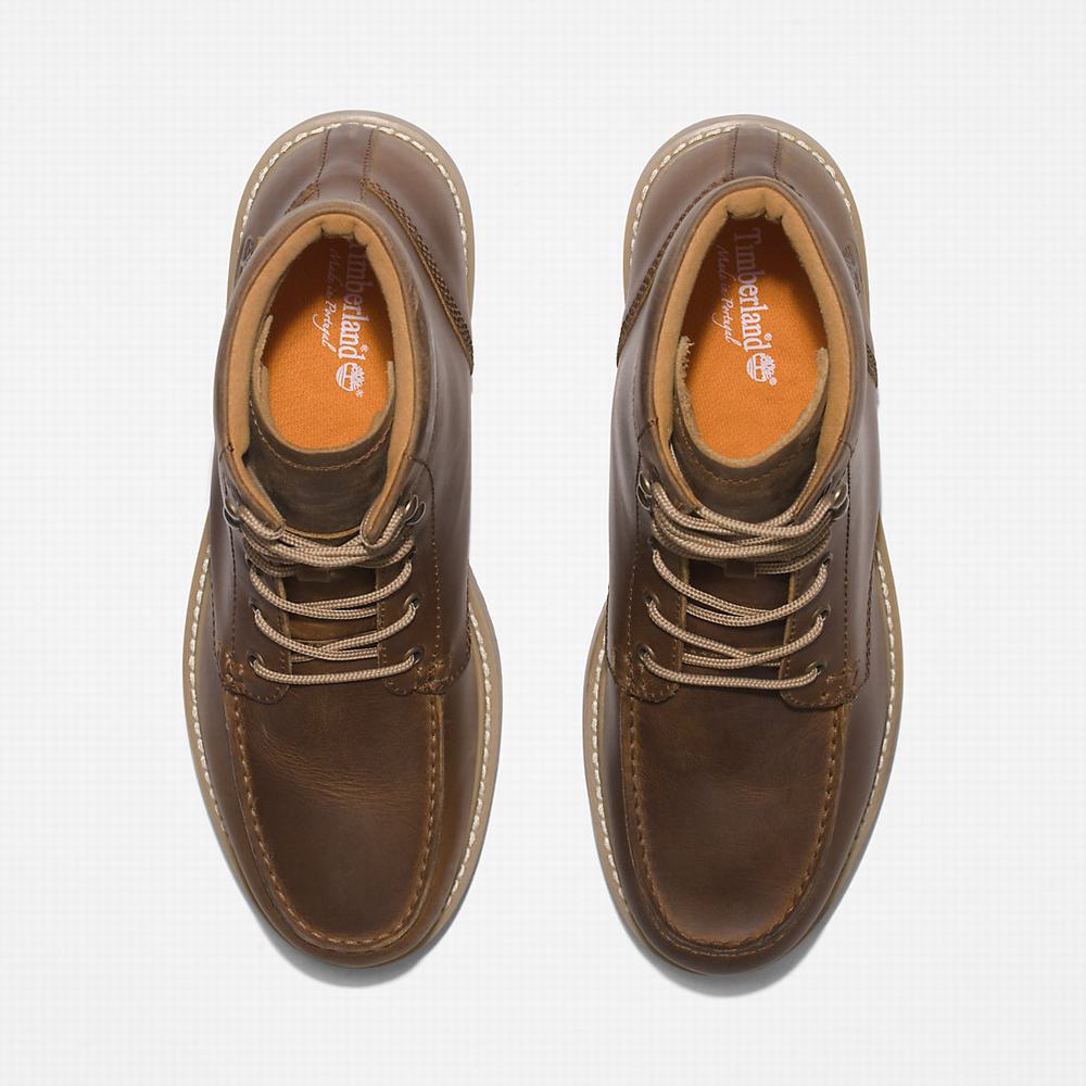 Pánské Zimní Boty Timberland Newmarket II 6 Inch Světle Hnědé | TI17692-102
