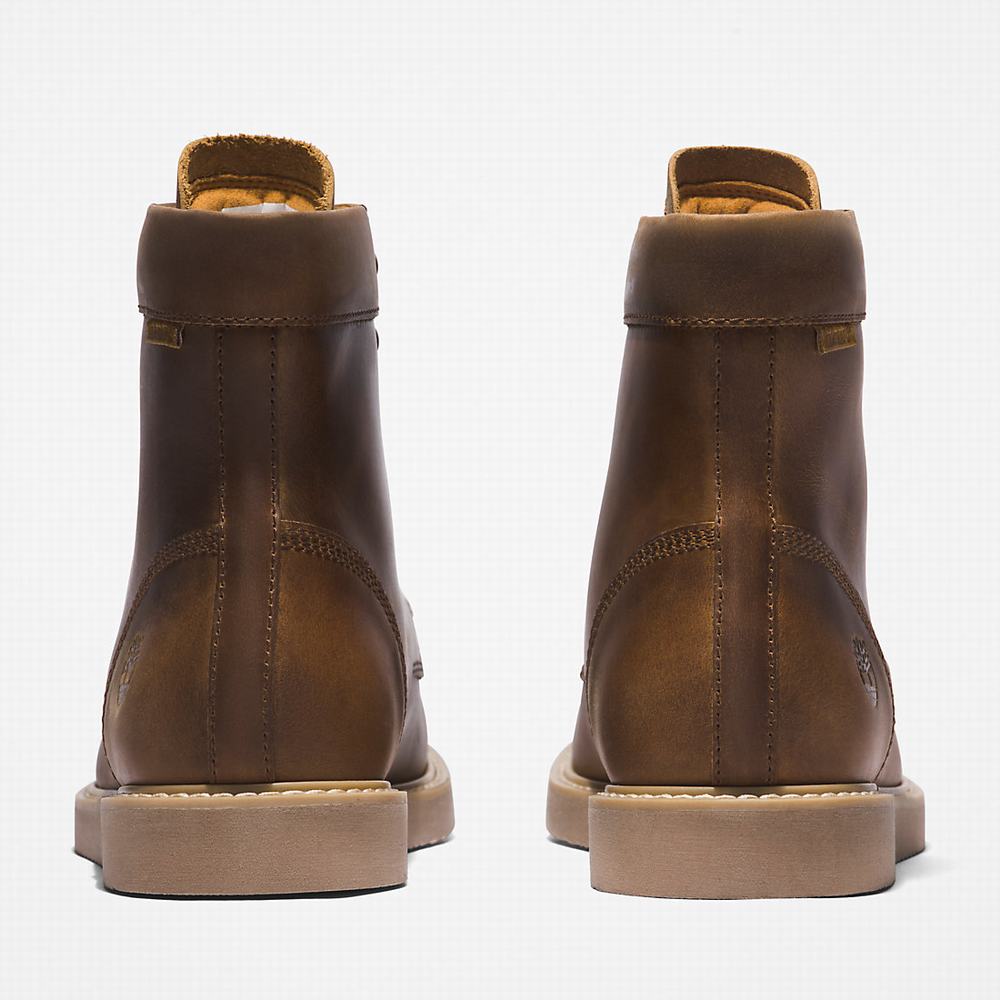 Pánské Zimní Boty Timberland Newmarket II 6 Inch Světle Hnědé | TI17692-102