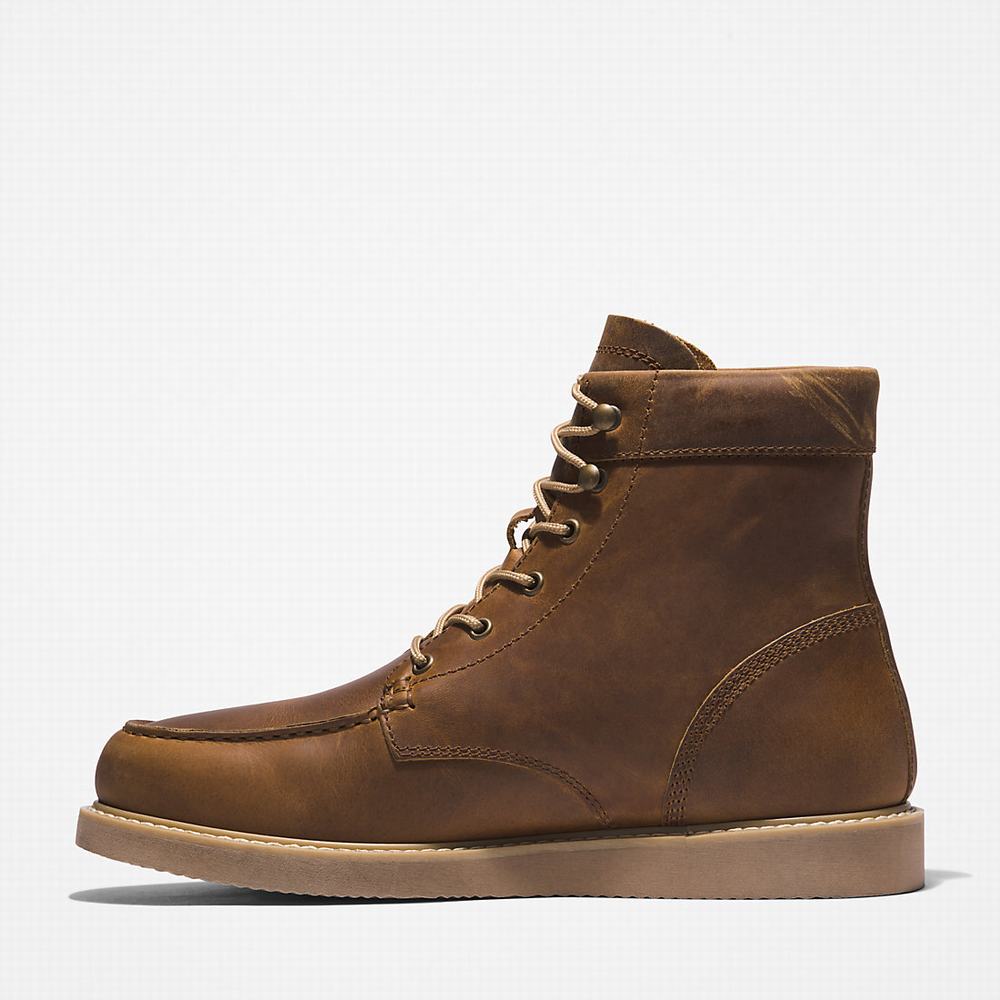 Pánské Zimní Boty Timberland Newmarket II 6 Inch Světle Hnědé | TI17692-102