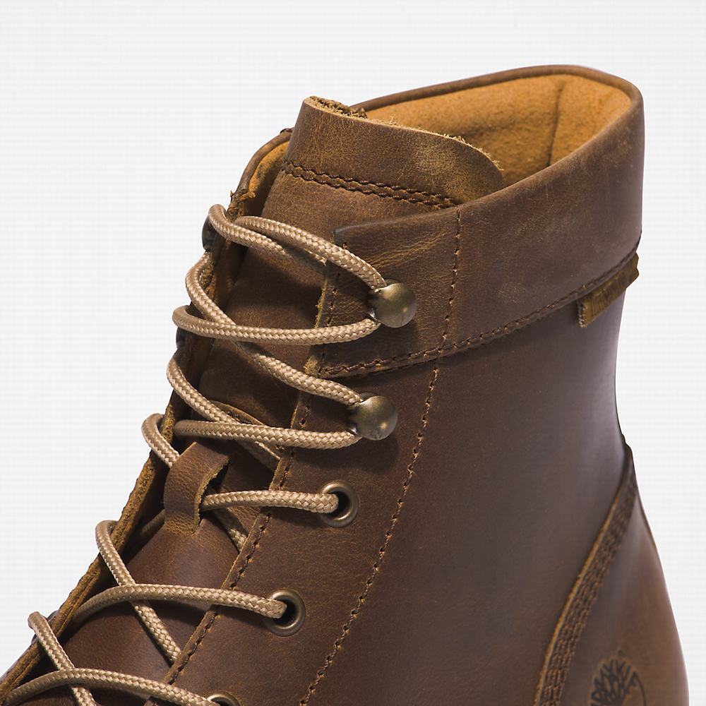 Pánské Zimní Boty Timberland Newmarket II 6 Inch Světle Hnědé | TI17692-102