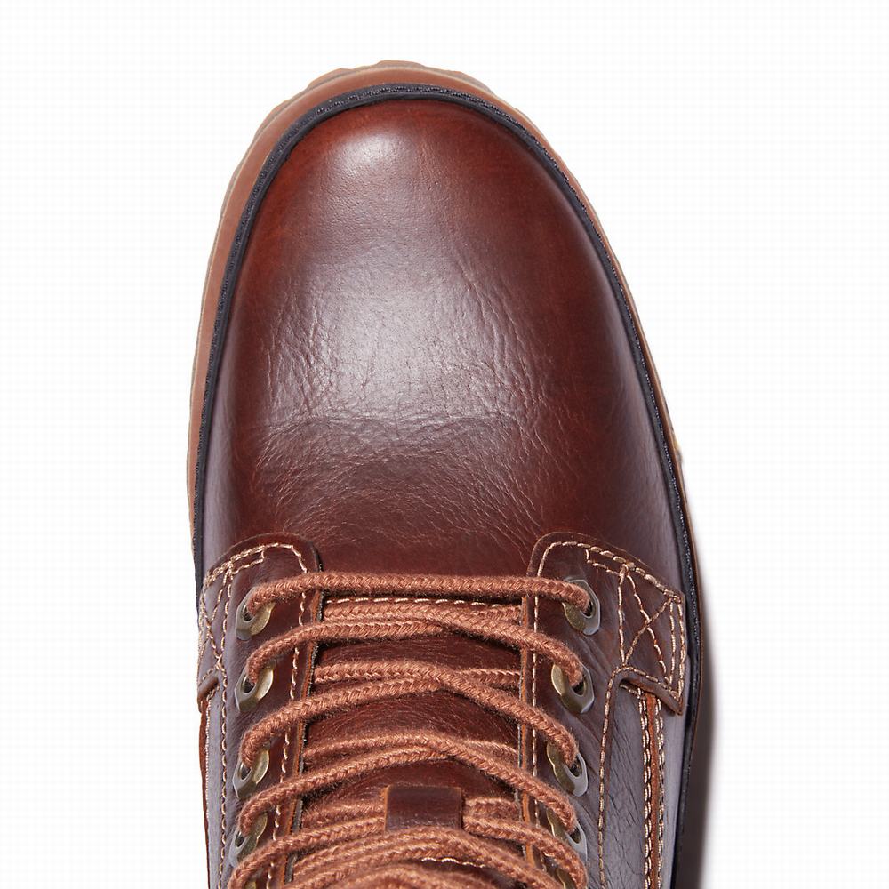 Pánské Zimní Boty Timberland Originals EK+ Hnědé | TI05673-365